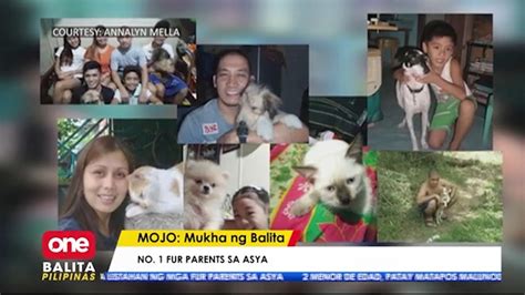 pinoy kinantot ang aso|Alagang aso, nabundol na kinatay pa; kumatay, kakasuhan ng fur .